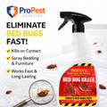 Bed Bug Killer Spray