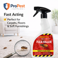 Flea Killer Spray. For the Home.